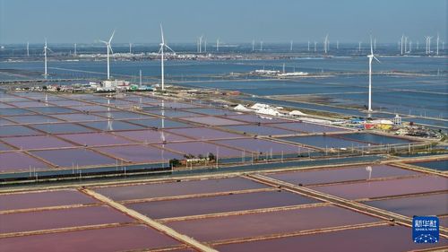 国道之行 海阔天空 从一滴海水到百味之王的海盐收获记与海外仓新篇