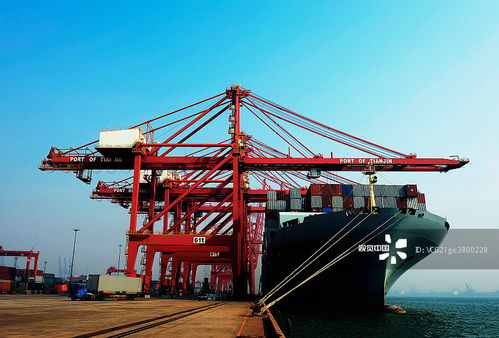 海空自贸海外仓 摄影图片中的跨境电商新基建